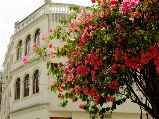 �����Ͻ� �������ξW(w��ng)