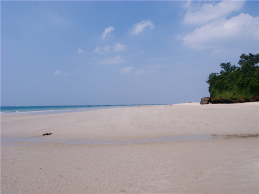 ʯ�ݿ� ����������