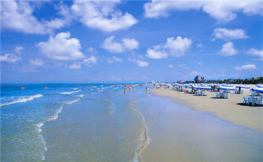 �y�� �V������������