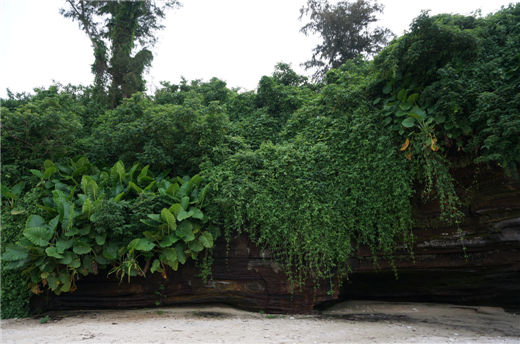 ��ˮ���� �������ξW(w��ng)