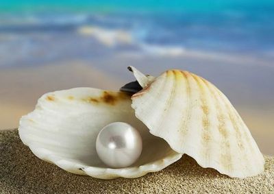 ����֮�l(xi��ng) ����������