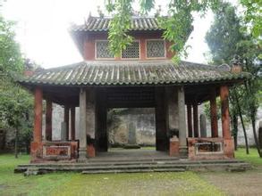 ����ͤ������������