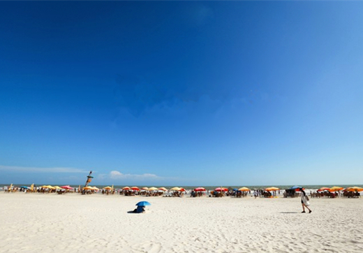 �����y�� ����������