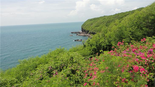 ��ɽ�ڹ��@ �V������������