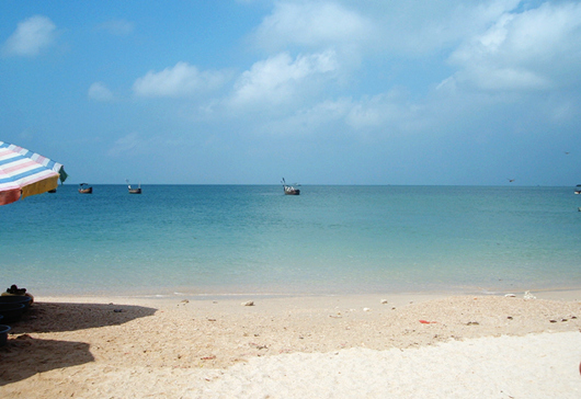 ���ލu ����������