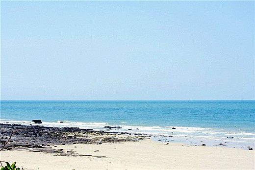 ɳ�� �V���������ξW(w��ng)