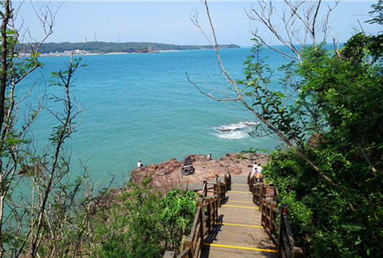 ���ލu �V���������ξW(w��ng)