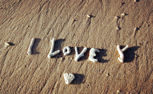 �V���������ξW(w��ng) �V������������