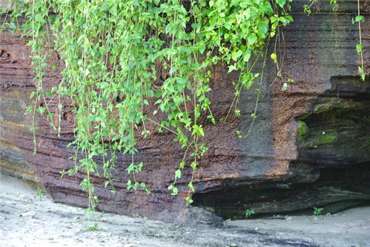 �V������������