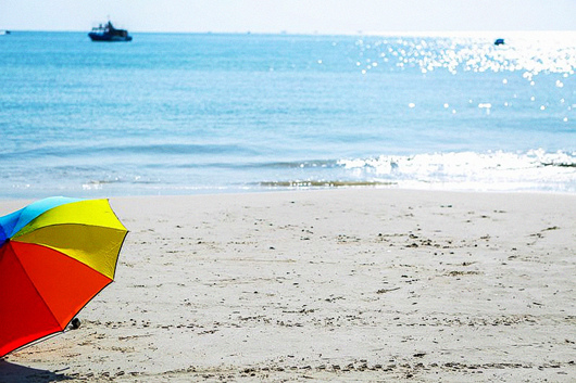 �V������������