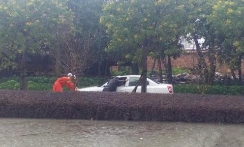 �V������������ ��������