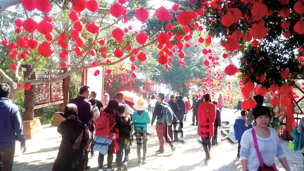 �V������������