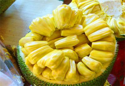 �V������������ ���}��