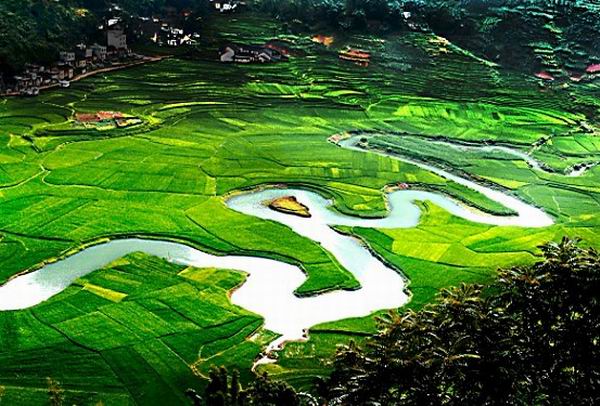 �V������������ ���������R