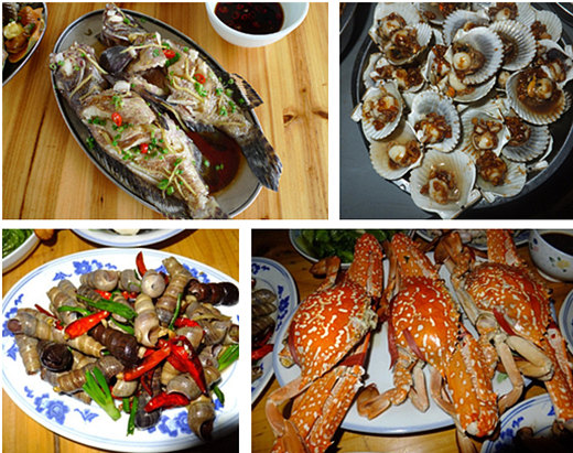 �V������������ ���ލu���ι���