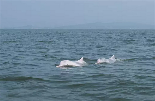 �V������������ ����