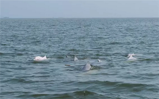 �V������������ ����