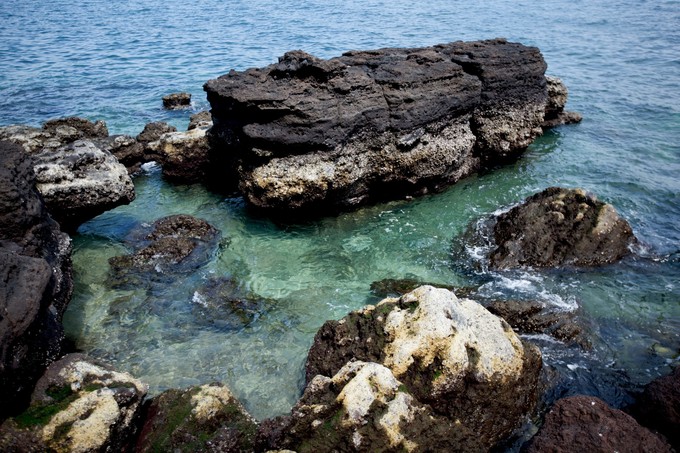 �������ލu �V������������