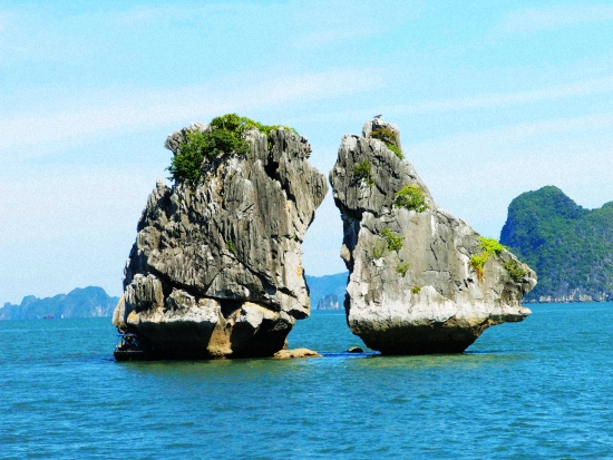 �V������������