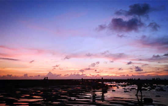 �V������������ ���ލu����