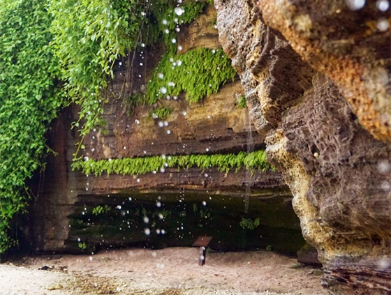 �V������������ ���ލu���ι���