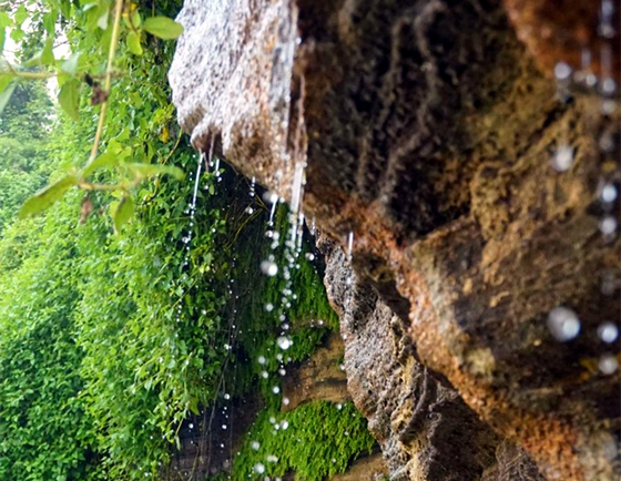 �V������������ �������ι���