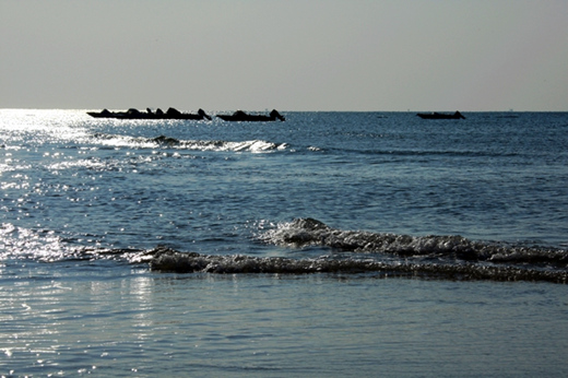 �����������V���������ξW(w��ng)