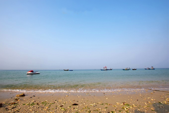 �����������V���������ξW(w��ng)