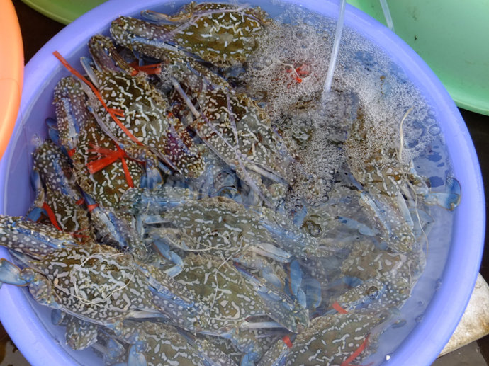 �������ι������V���������ξW(w��ng)