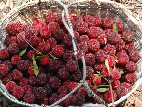 �����������V������������