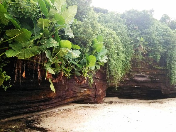 ���ލu���V���������ξW(w��ng)