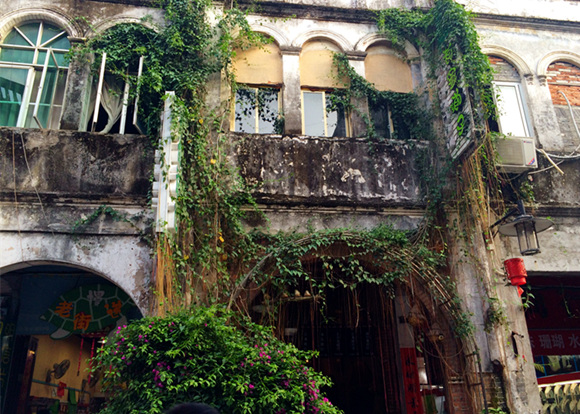 �����������V������������