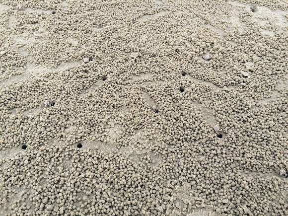 �����������V������������