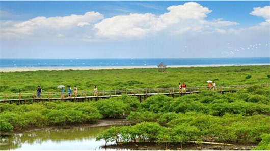 �����������V������������