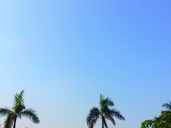 �����������V������������