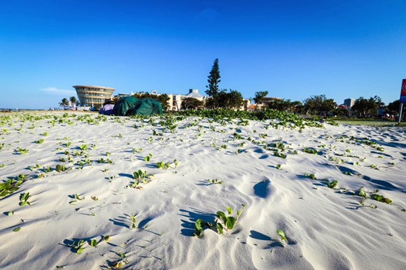 �����������V������������