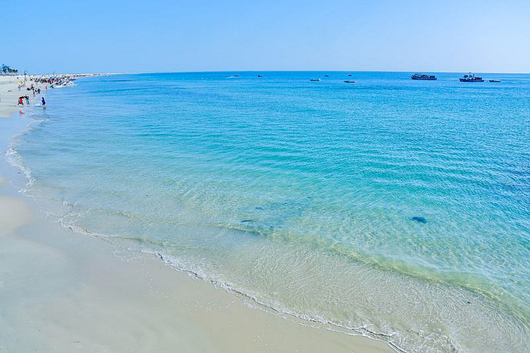 �������ލu���V������������