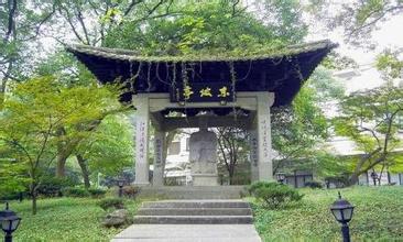 �V������������