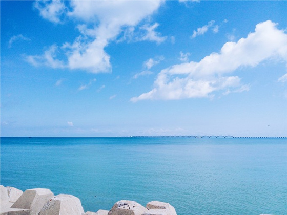 �������ލu���V������������