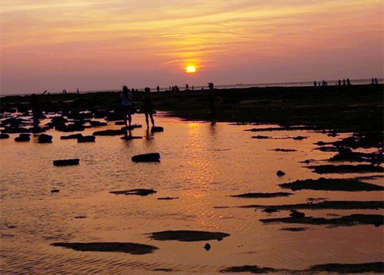 �������ލu���V������������