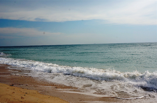 �������ލu���V������������