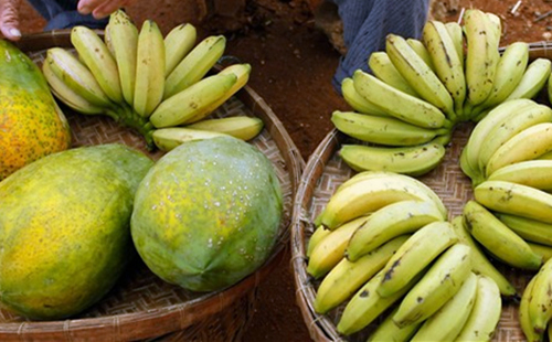 �������ލu���V������������