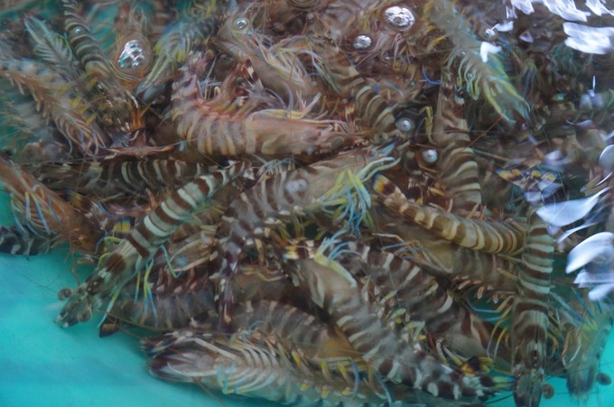 �������ލu���V������������