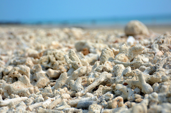 ���������ލu���V������������