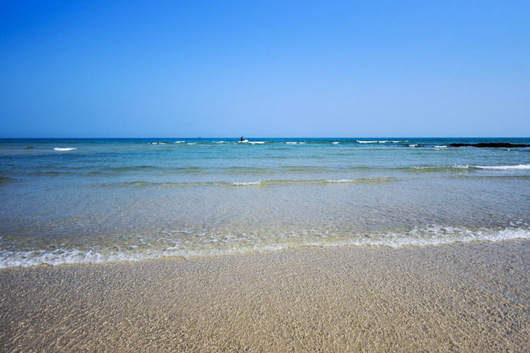 ���������ލu���V������������