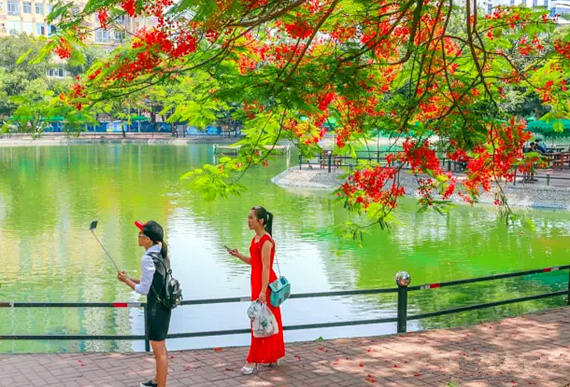 �����������V������������