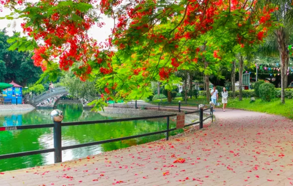 �����������V������������