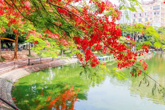 �����������V������������