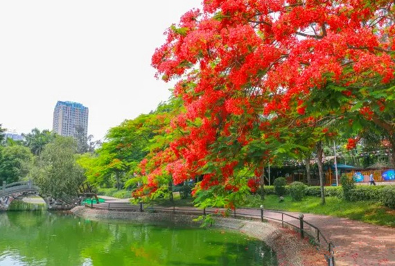 �������Σ��V������������