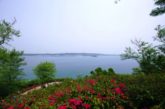 �������ލu�������V������������